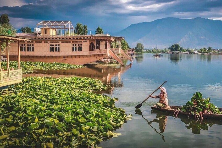 4 Days and 3 Nights Private Tour of Kashmir