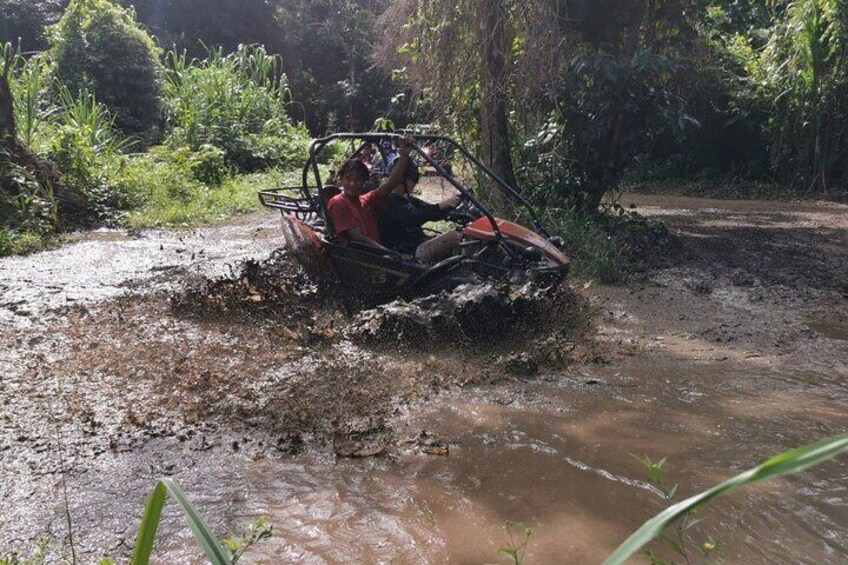 Private Island Tour: Sloth Hangout/DUNE BUGGY ATV Adventure/Private Beach Resort