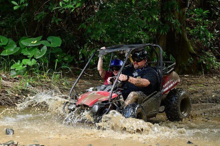 Roatan Sustainable Safari: Wildlife/ATV BUGGY/Private Luxe Beach