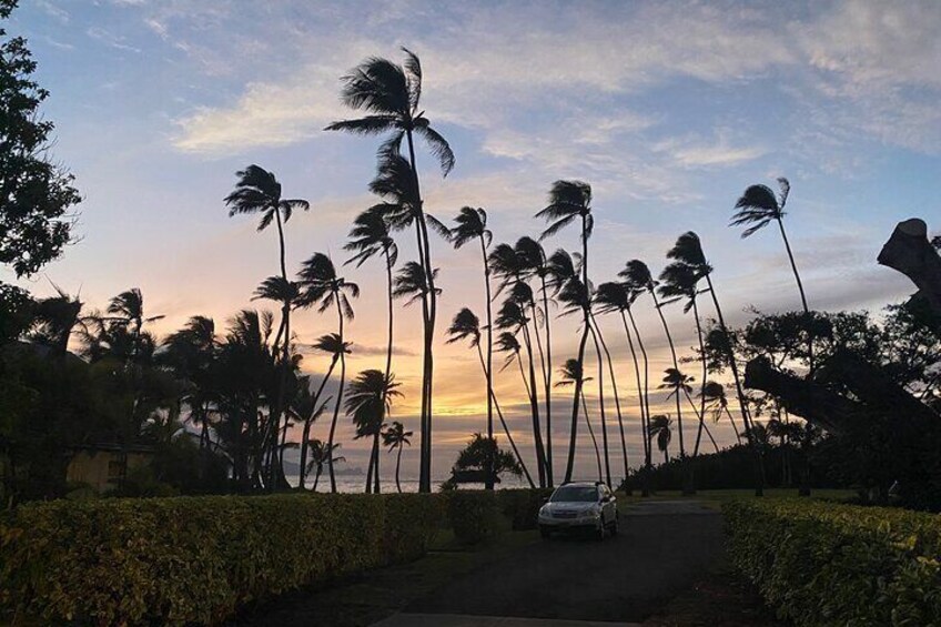 Small-Group Road to Hana Full Circle Tour in Mercedes Van