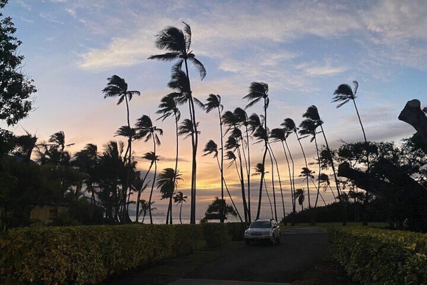 Small-Group Road to Hana Full Circle Tour in Mercedes Van