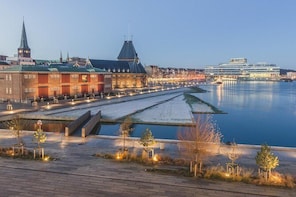 Aarhus Private Transfer from Aarhus (AAR) Airport to City centre