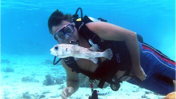 Rarotonga Lagoon Dive Experience