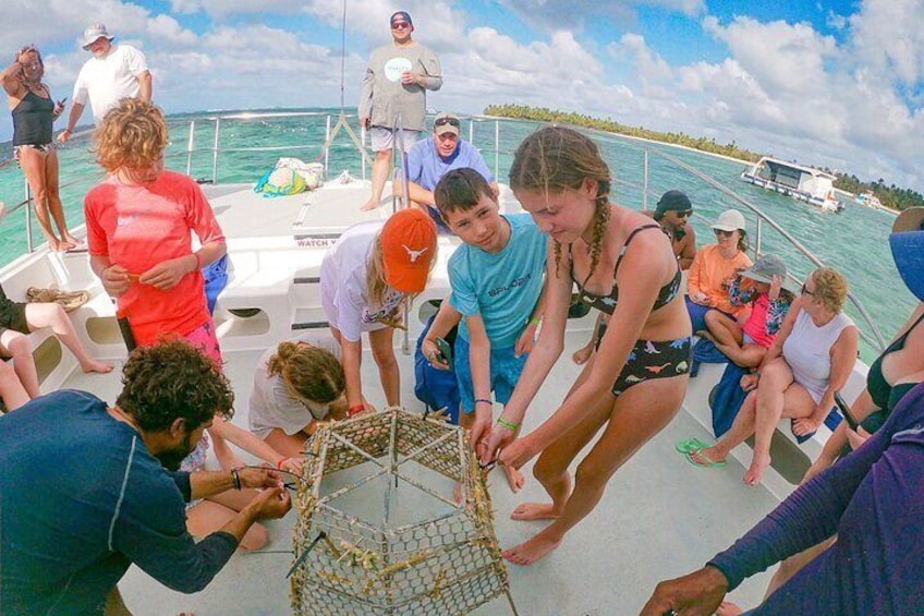 Plant corals onboard
