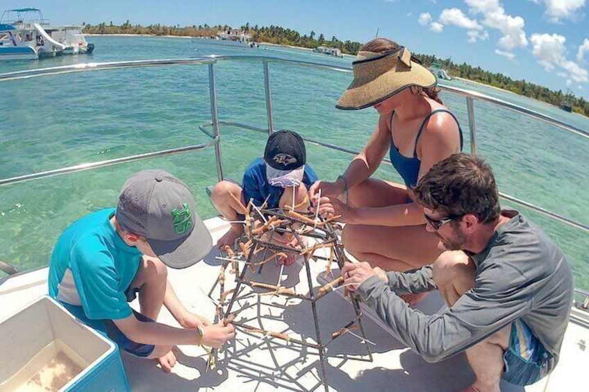 Planting corals 