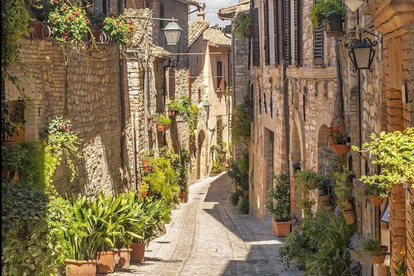 Orvieto and Civita di Bagnoregio from Civitavecchia - Private Tour