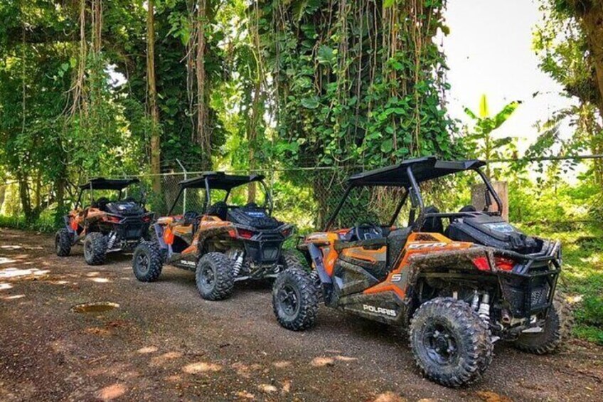 Rastafari Cultural ATV Community Experience from Negril