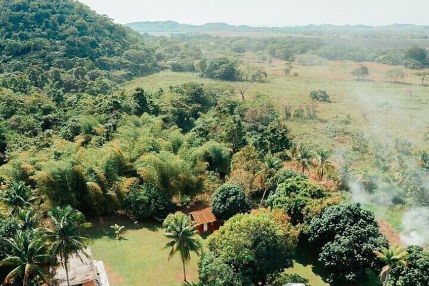 Rastasafari Experience from Negril