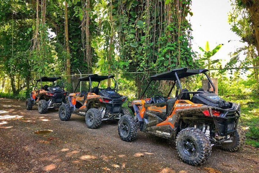 Buggy and Quad Safari Tours from Side 2024 - Viator
