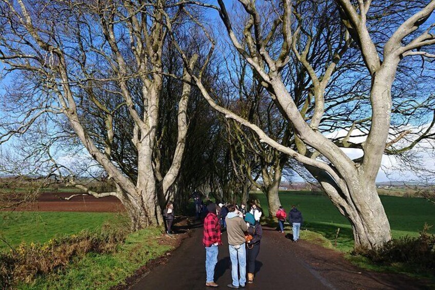 Private Luxury Northern Ireland Top Highlights 2 Full-Day Tour