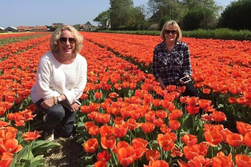 Show item 2 of 20. TulipFlowerfields