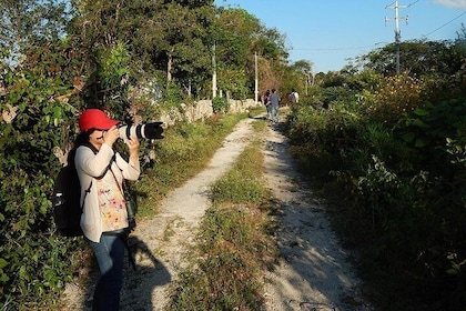 Birdwatching Yucatan 3 days trip focus on endemic birds