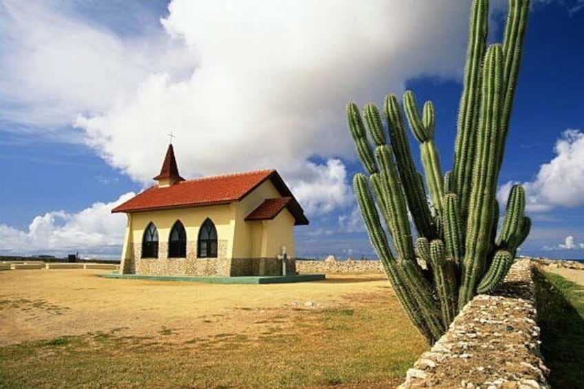 Aruba Shore Excursion: The Highlights & Delights Tour