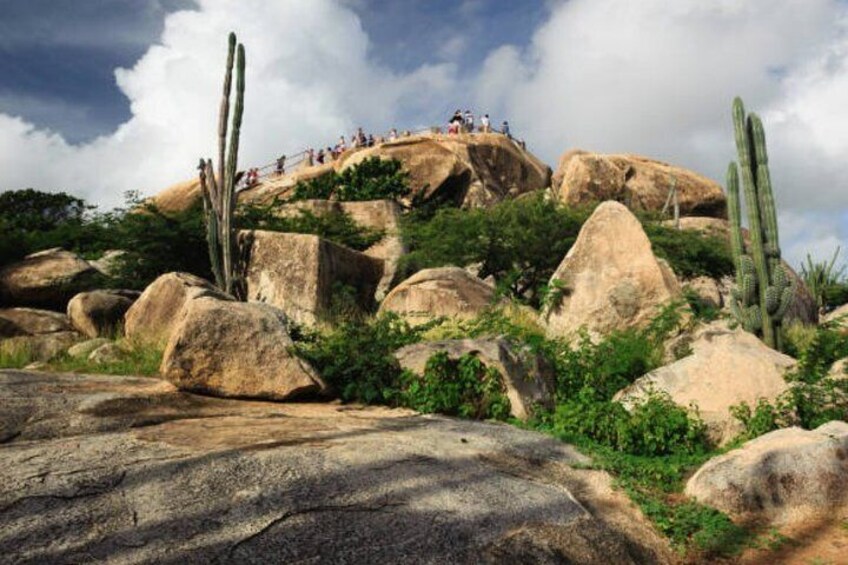 Aruba Shore Excursion: The Highlights & Delights Tour