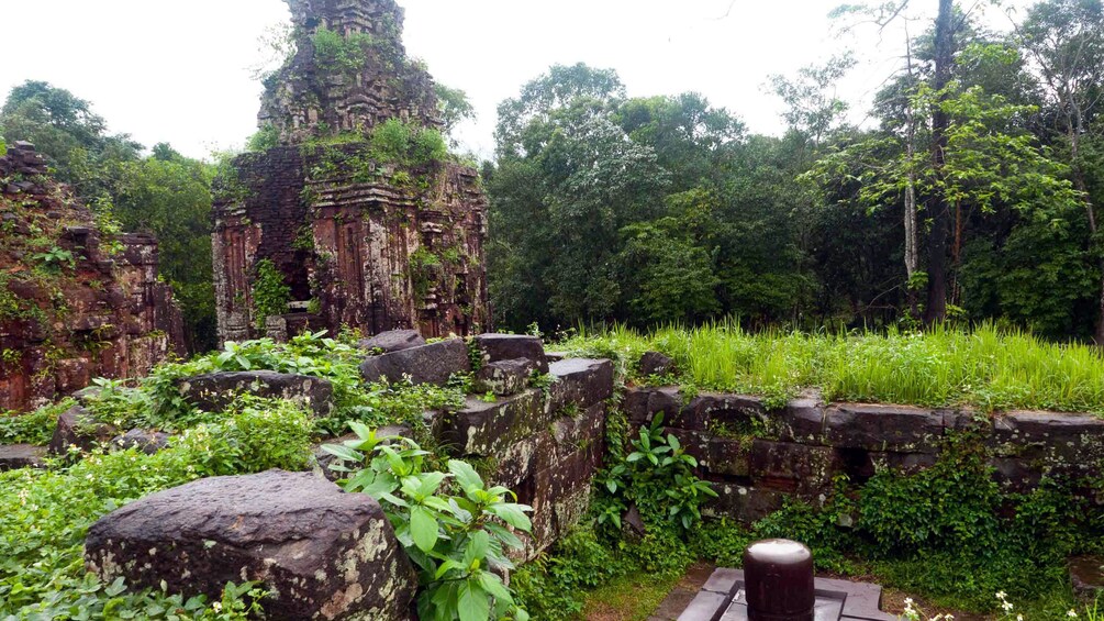 Stunning view of the My Son ruins in Vietnam