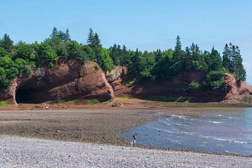 New Brunswick Shore Excursion: Bay of Fundy and More Small Group Tour