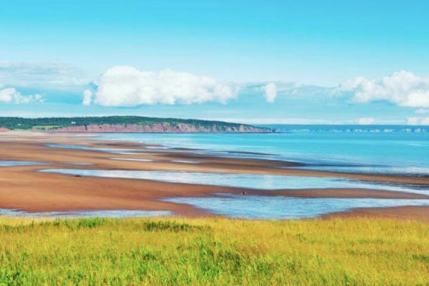 New Brunswick Shore Excursion: Bay of Fundy and More Tour