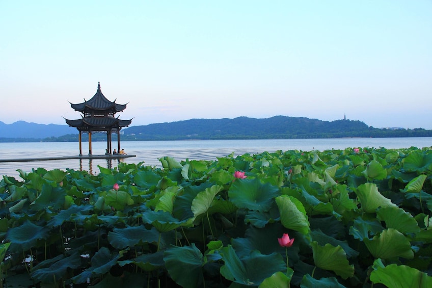 Hangzhou: Heaven on Earth Day Tour