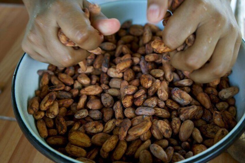 Cocoa beans