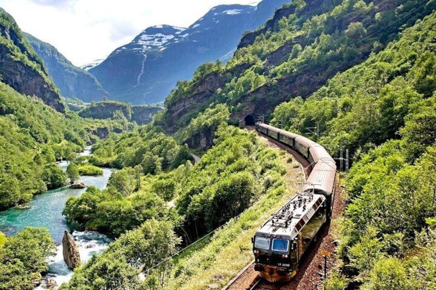 Cruise Special: Private Trip To Canyons And Waterfalls With Flåm Railway