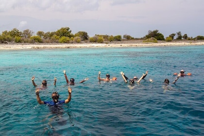 Klein Bonaire Marine Park Snorkelling Excursion