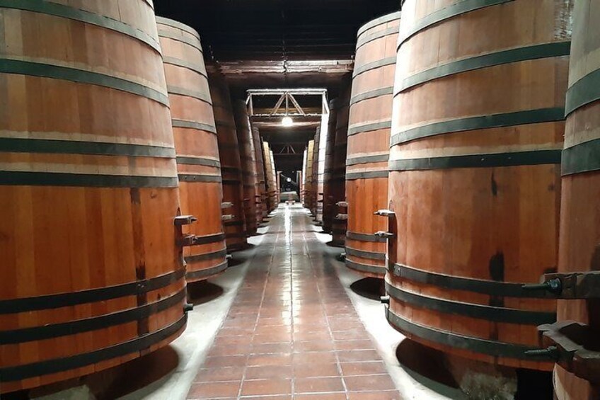 full day private tour Isla negra poetry and wine from Santiago