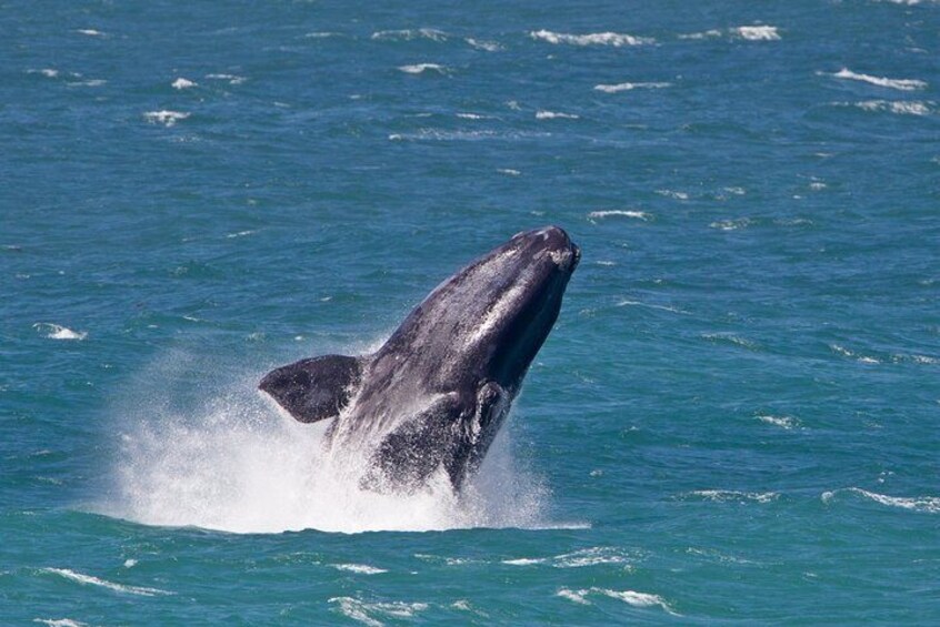 Chilean Patagonia program 4 days - 3 nights