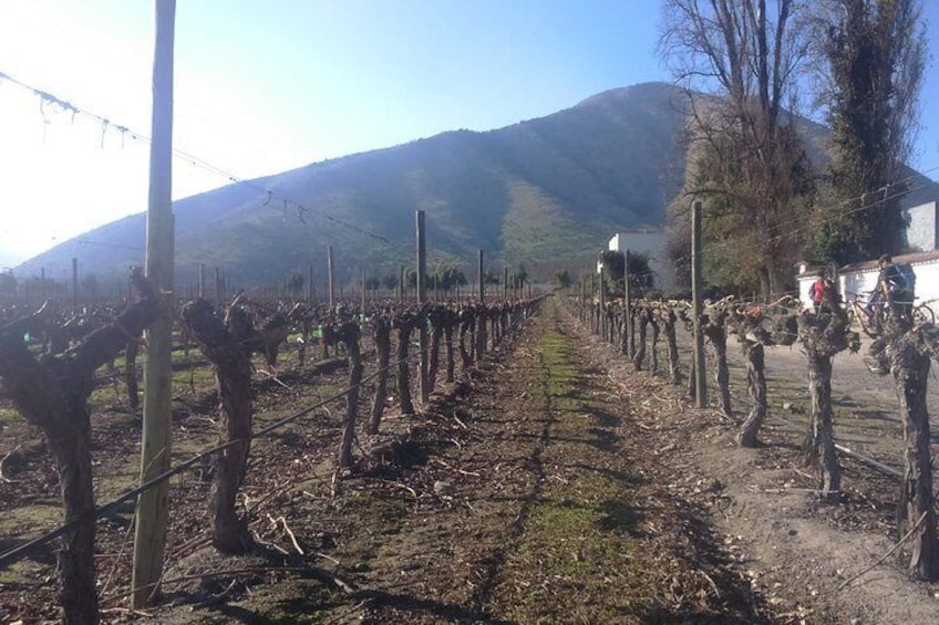 full day private wine tour casablanca valley from Santiago