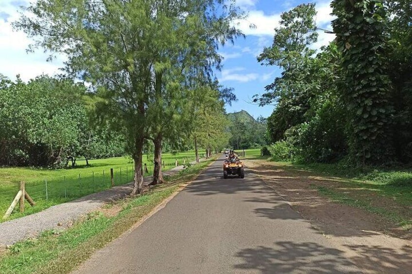 ATV MOOREA Rando Quad Tour