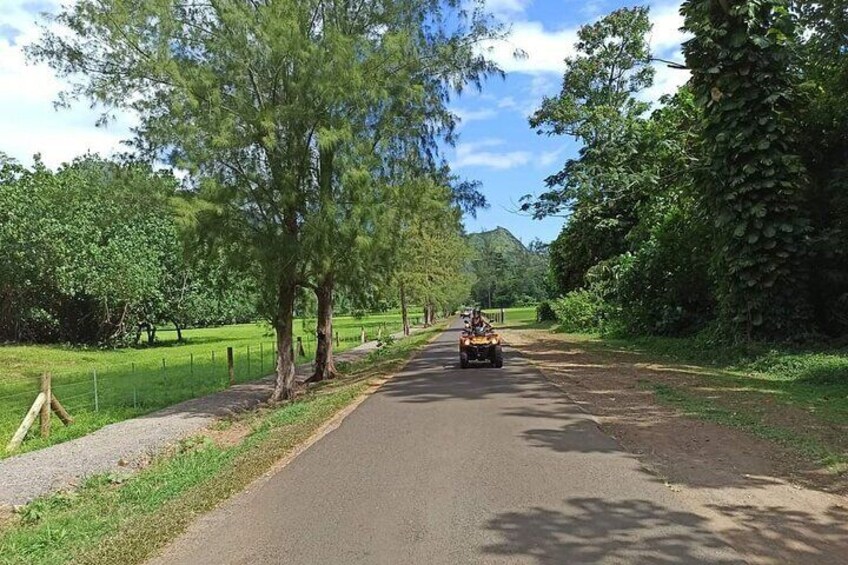 ATV MOOREA Rando Quad Tour