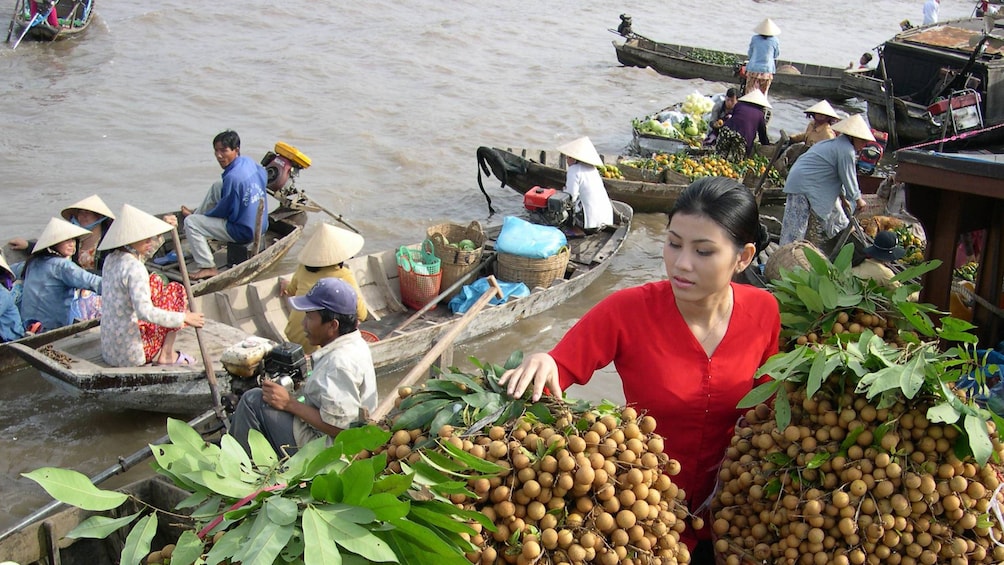 Woman picking longan from the river market in Vietnam