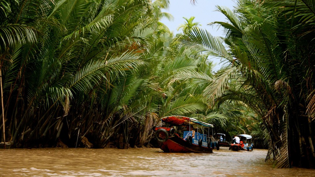 Motorboat in Cái Bè to visit its lively floating market along the Tien River in Vietnam