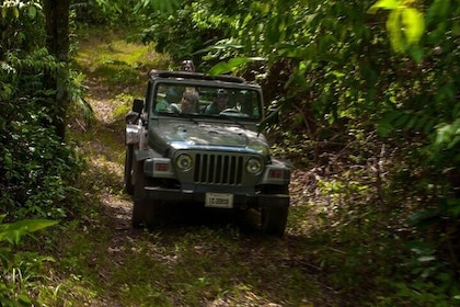 Jungle Jeep Adventure from Belize City
