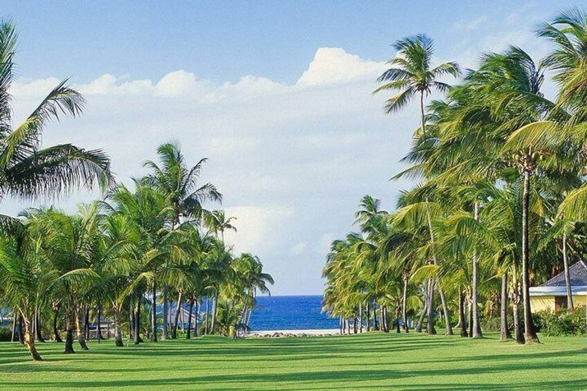 View from Plantation great house