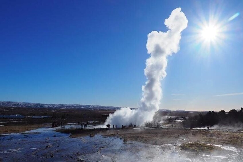 Geyser Water Shoots