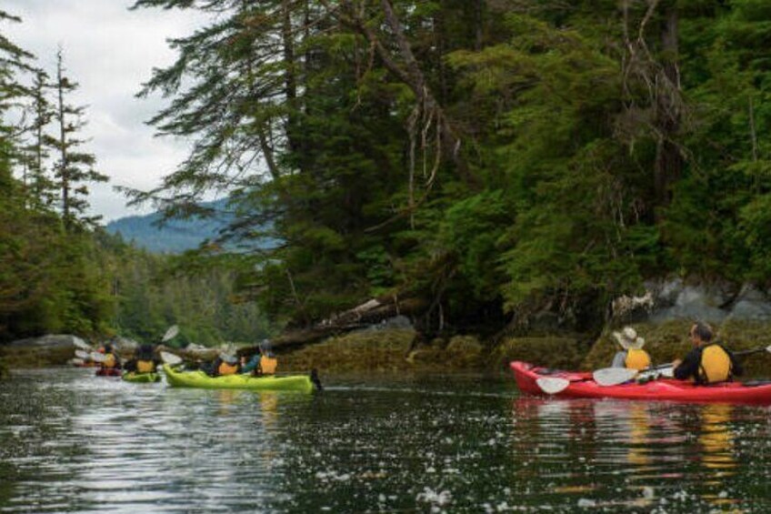 Sitka Shore Excursion: Sitka Harbor & Islands Guided Kayaking