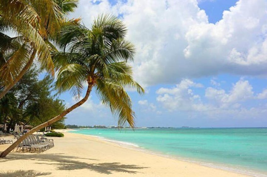 Shore Excursion: Grand Cayman Beach & Off The Beaten Track Tour