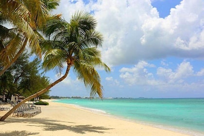 Shore Excursion: Grand Cayman Beach & Off The Beaten Track Tour