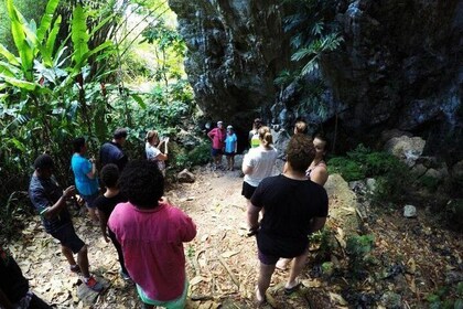Cannibal Caves Tour, visit a Fijian Village, take part in Kava Ceremony 