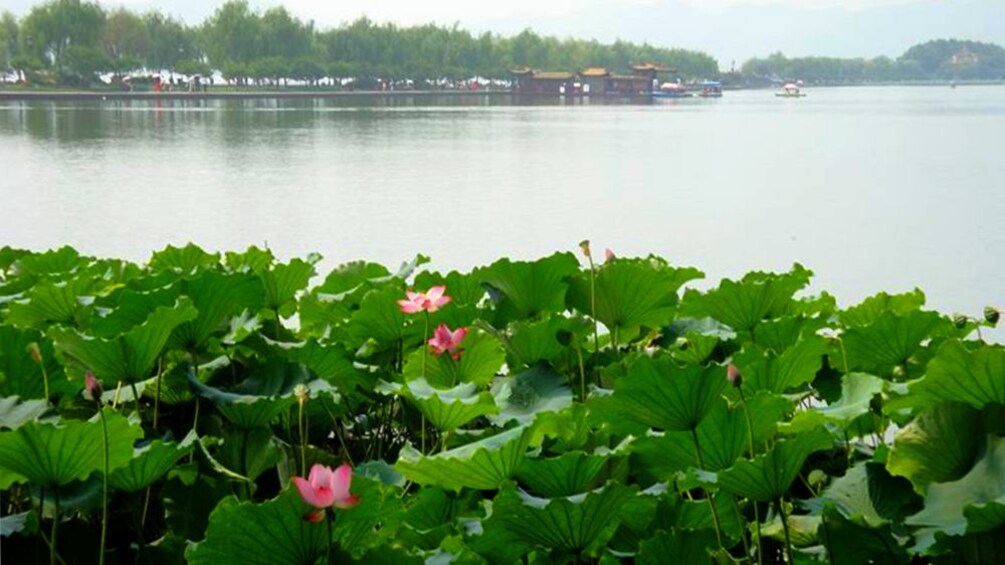 Lake view in Hangzhou on a sunny day 