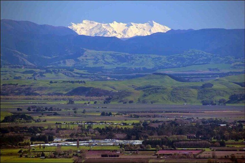 Views across the country to Mt Ruapehu on a clear day.