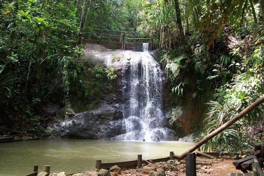 Colo-i-Suva Waterfall Tour (Suva)