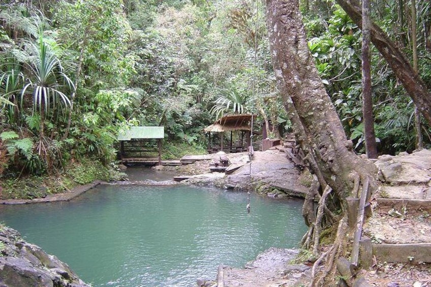 Colo-i-Suva Waterfall Tour (Suva)