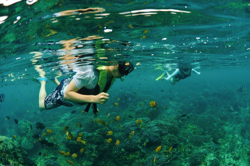 Show item 5 of 10. Bali Hai Lembongan Island Reef Cruise