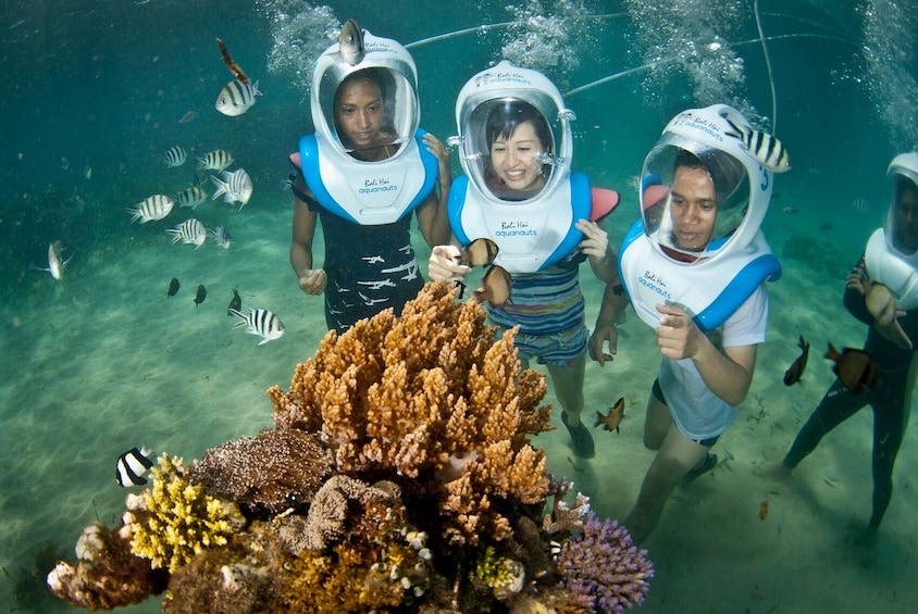 Show item 3 of 10. Bali Hai Lembongan Island Reef Cruise