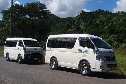 Intercontinental Fiji Golf Resort to Nadi Airport - Private Mini-Van(1-7 Se...