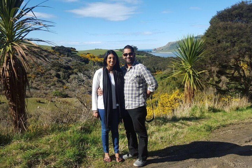 Dunedin Shore Excursion: Small-Group Tour of Dunedin and the Otago Peninsula