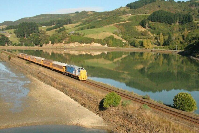 Shore Excursion: Full-Day Ships Shore Excursions from Dunedin