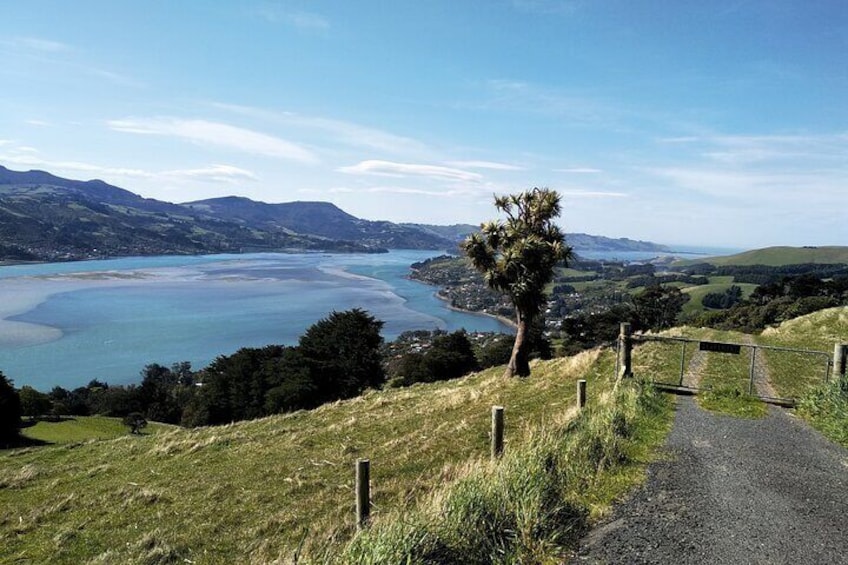 Lookout at Peninsula