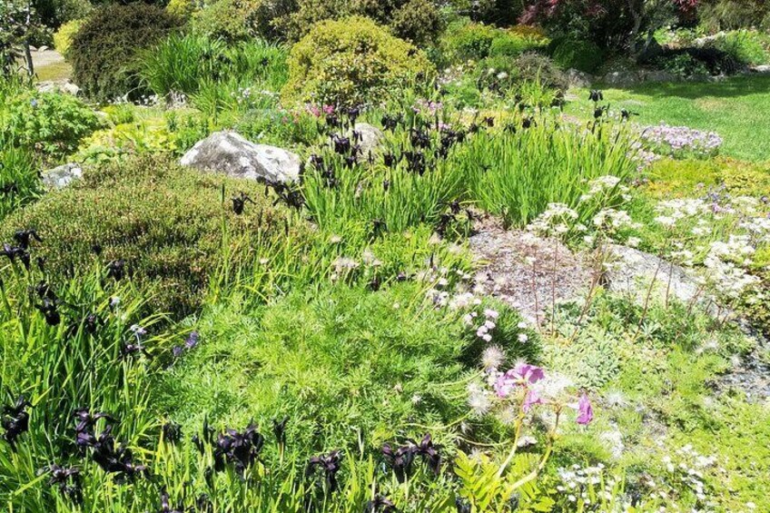 Larnach Castle Garden